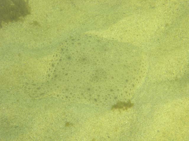 PA082063