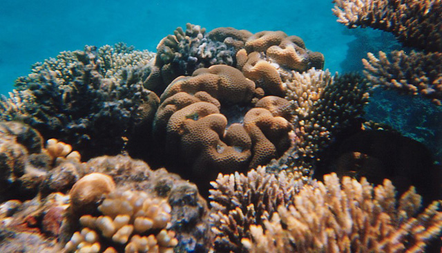 e10