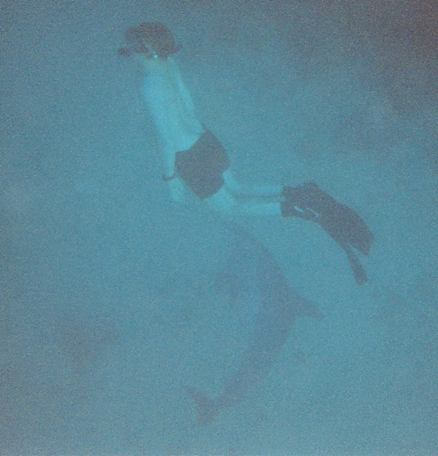 e7