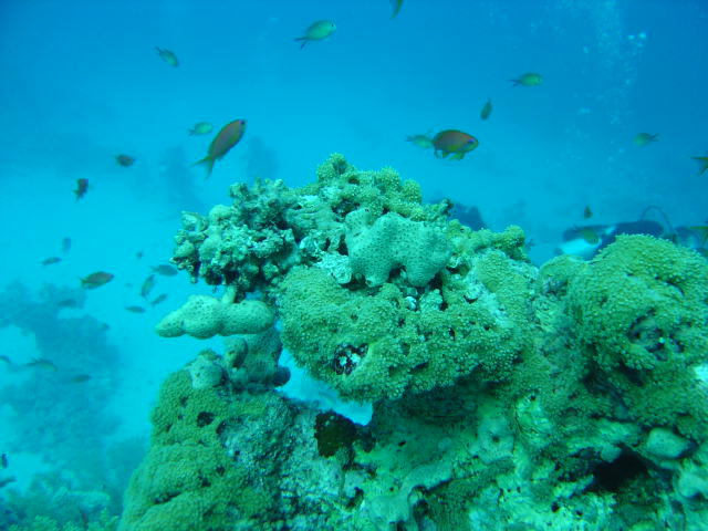 DSC00288