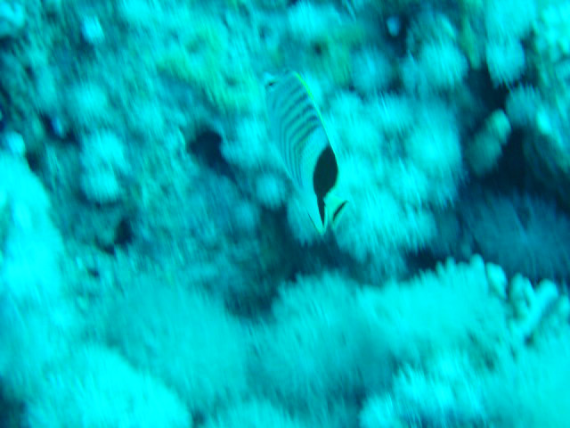DSC00302