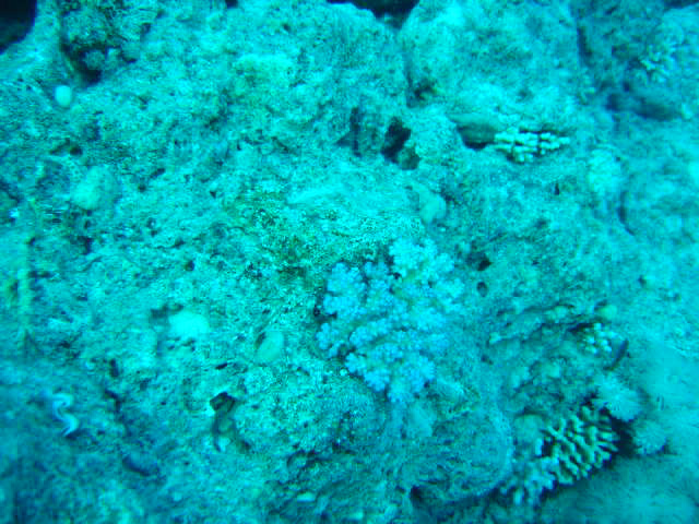DSC00308