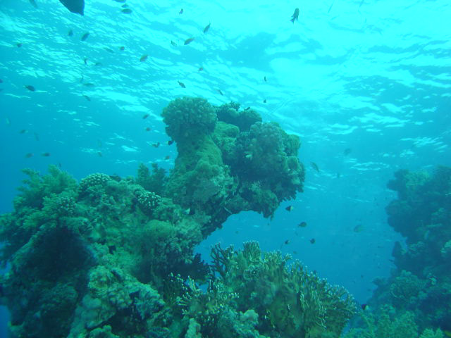 DSC00322