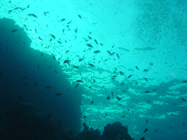 DSC00325