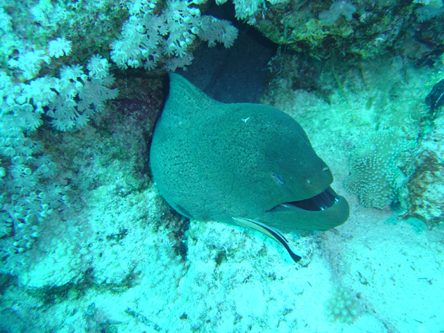 DSC00348