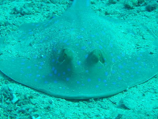 DSC00355