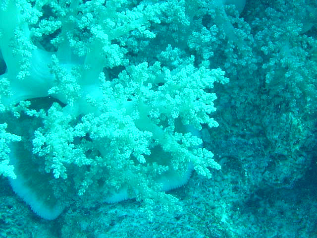 DSC00365