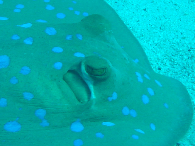 DSC00366