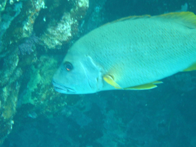 DSC00367