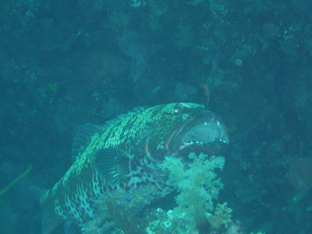DSC00373