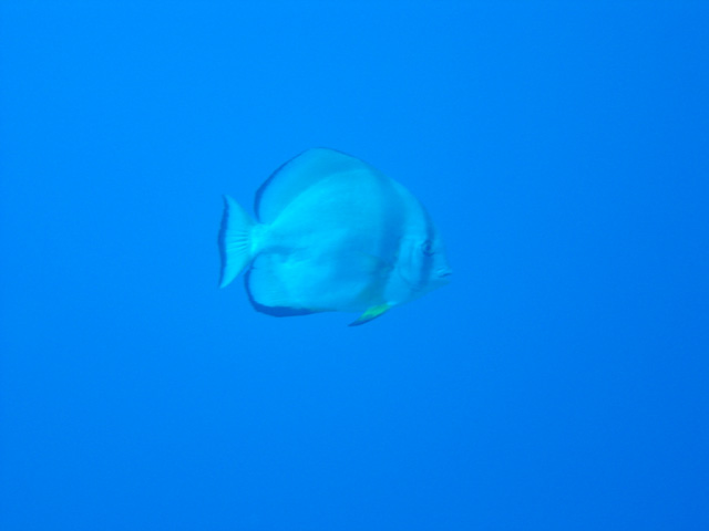 DSC00397