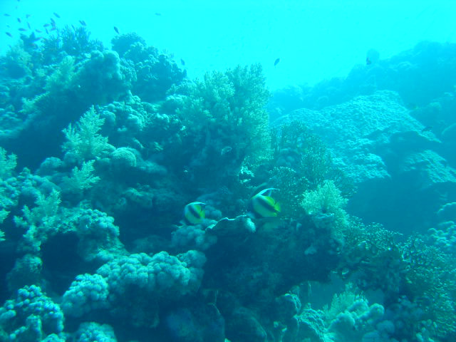DSC00404