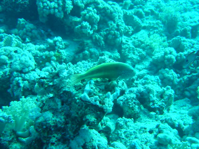DSC00405