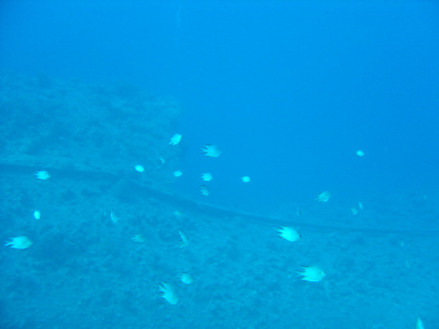 DSC00406