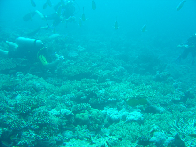 DSC00418
