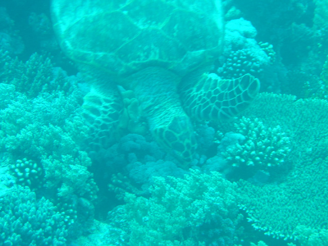 DSC00421