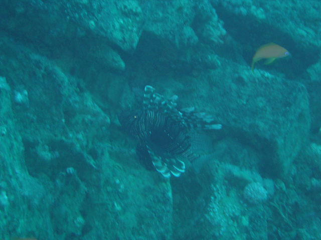 DSC00438