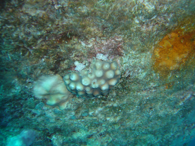 DSC00440