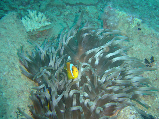 DSC00450