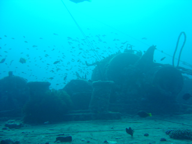 DSC00461