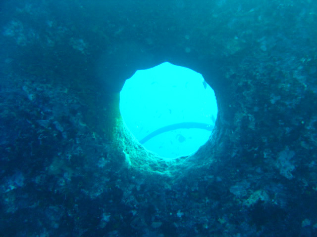 DSC00462