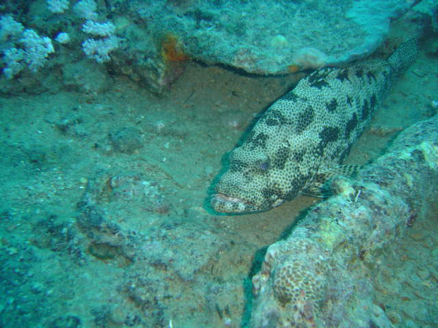 DSC00473