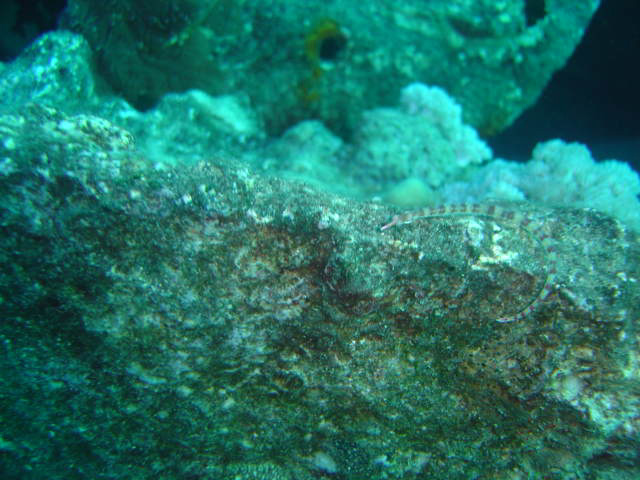 DSC00479
