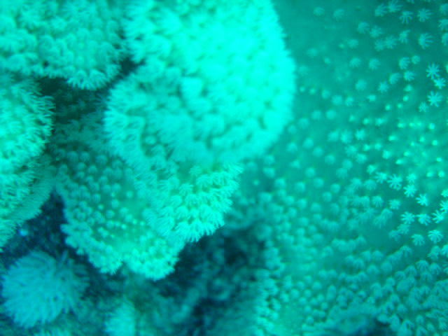 DSC00486