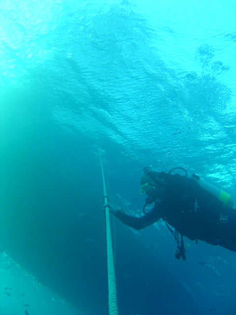 DSC00491