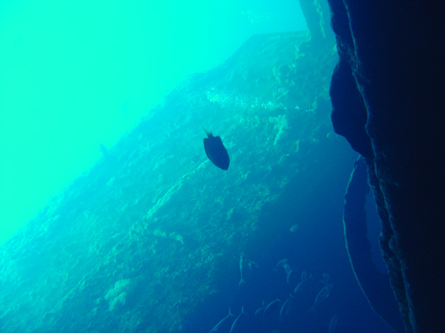 DSC00499