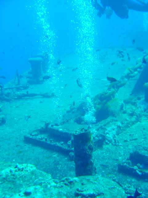 DSC00511