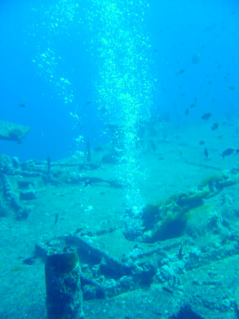 DSC00512