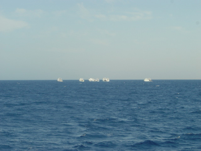 DSC00514