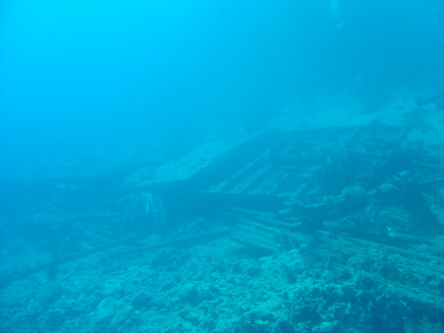 DSC00524