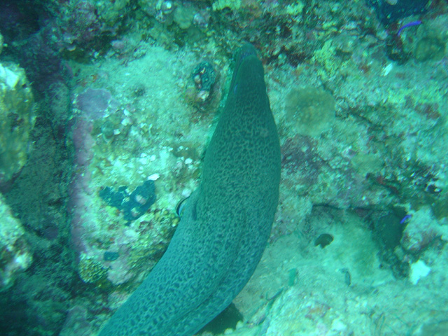 DSC00527