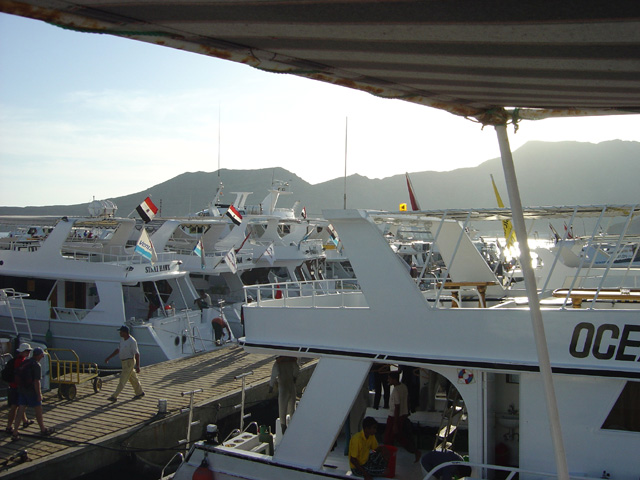 DSC00534