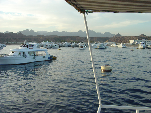 DSC00537