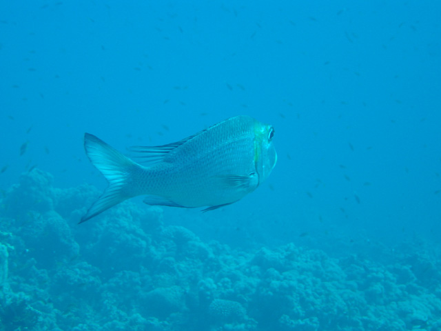 DSC00549