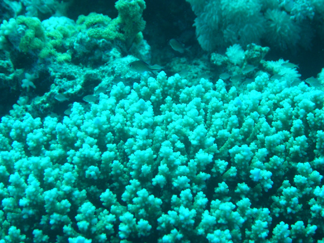 DSC00552