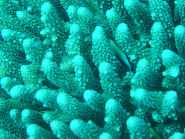DSC00565
