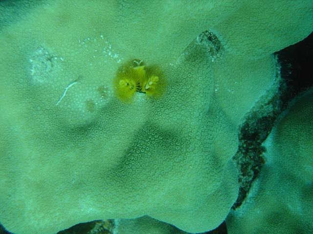 DSC00575