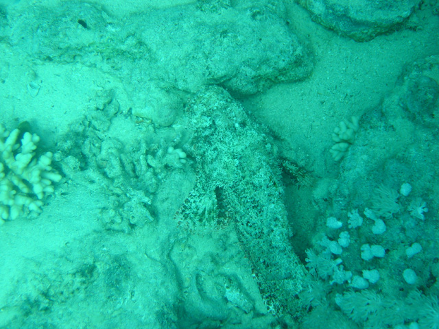 DSC00576