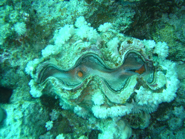 DSC00584