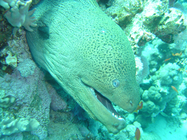 DSC00586