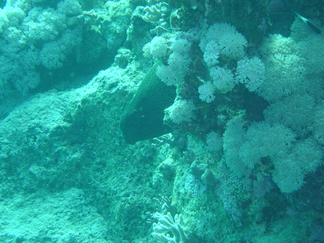 DSC00588