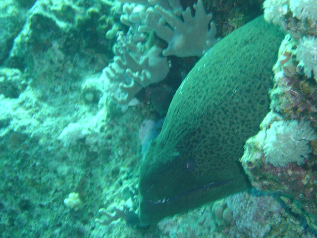 DSC00589