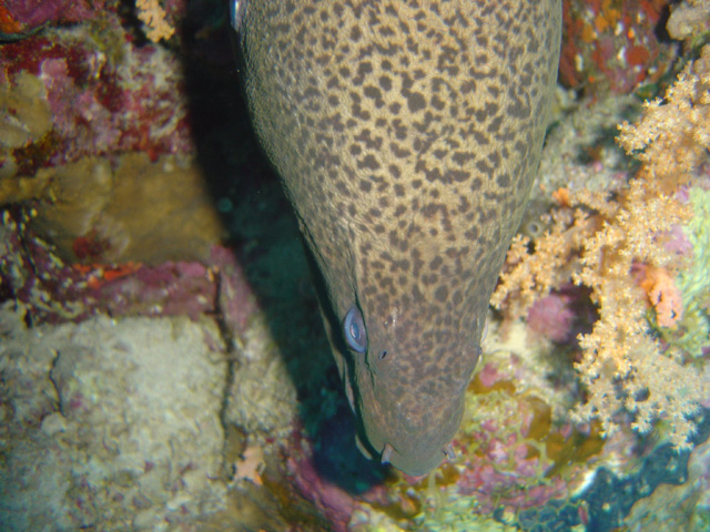DSC00593