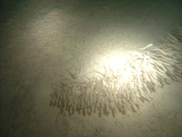 DSC00614