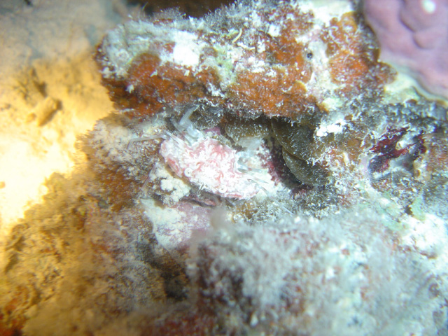 DSC00616