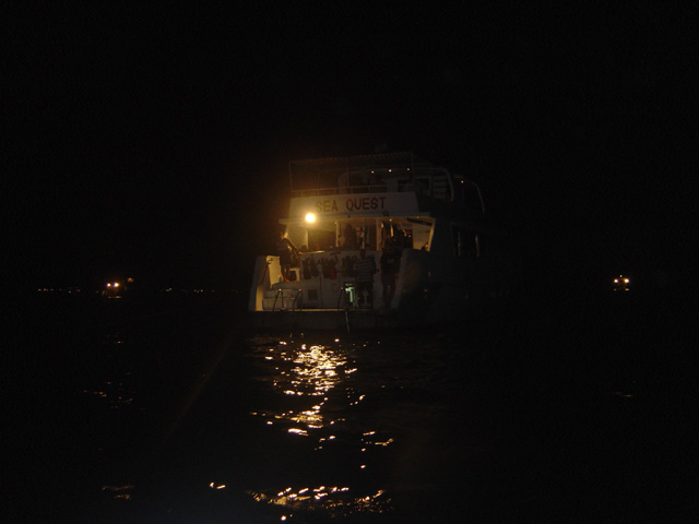 DSC00633